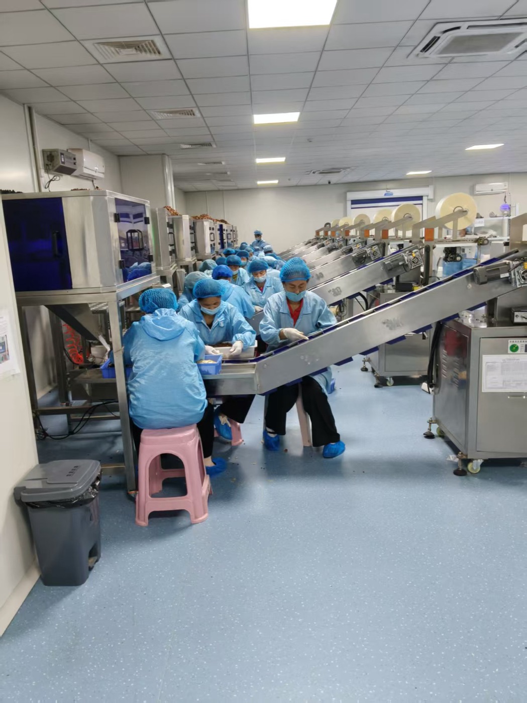Ginseng tea bagging and sealing line